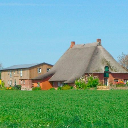 شقة "Hof Triangel - Whg 2" - Bauernhofurlaub Riepsdorf المظهر الخارجي الصورة